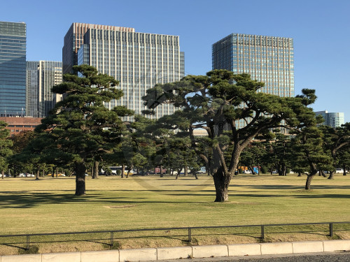 ||Zahrada Tokio Imperial Palace - Císařský palác