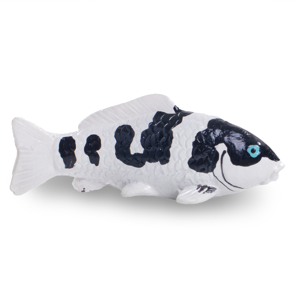 Shiro Utsuri - Koi magnet