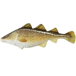 Polštář Treska 75 cm
