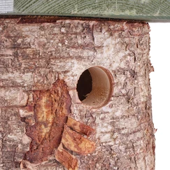 Ptačí budka 32 mm- bříza