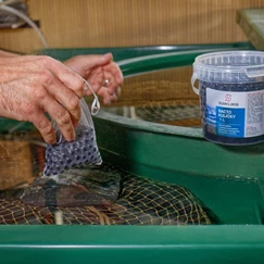 Sakura Bacto kuličky 2,2 l - startovací bakterie