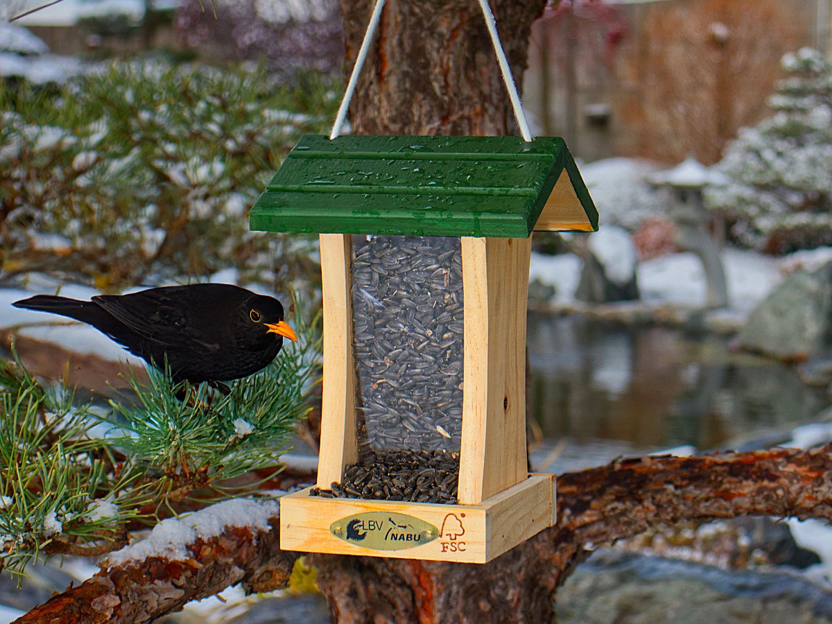 Postarejte se o ptáčky na Vaší zahradě