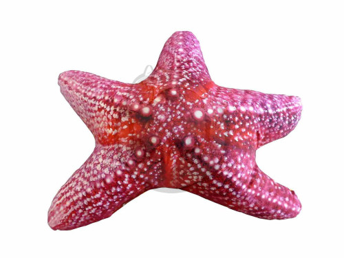 Polštář Hvězdice mořská 50 cm