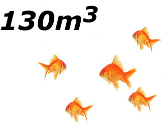 Jezírko s menším počtem ryb do 130 m3