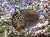 Včelky samotářky - Domek ve tvaru soudku