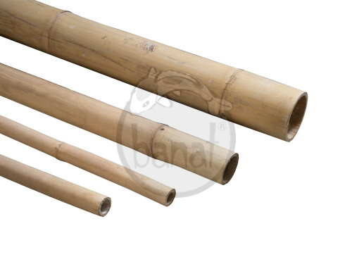 Bambusová tyč průměr 4 cm délka 220 cm