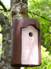 Ptačí budka 1B Schwegler - otvor 3,2 cm