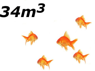 Jezírko s menším počtem ryb do 34 m3