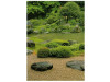 Umění japonských zahrad