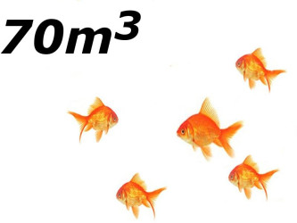 Jezírko s menším počtem ryb do 70 m3