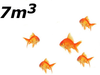 Jezírko s menším počtem ryb do 7 m3