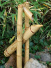 Bambusová vodní hra č. 1