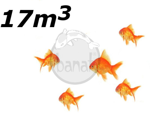 Jezírko s menším počtem ryb do 17 m3