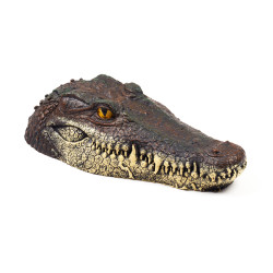 Plovoucí krokodýlí hlava