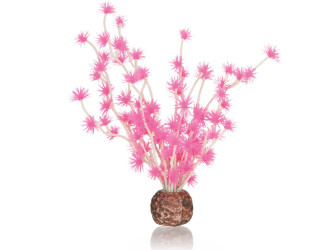 biOrb rostlina Bonsai růžová