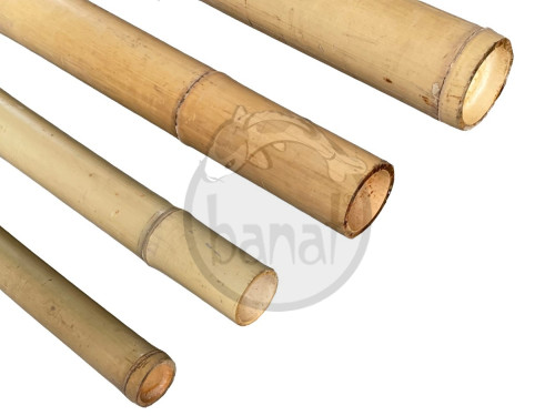 Bambusová tyč průměr 4 cm délka 300 cm
