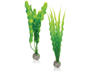 biOrb střední rostlina - zelený set