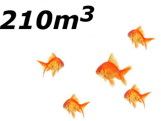 Jezírko s menším počtem ryb do 210 m3