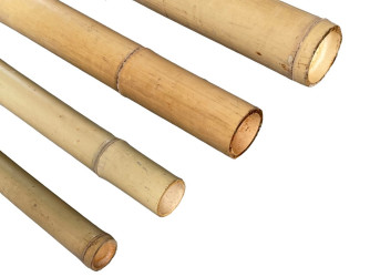 Bambusová tyč průměr 14 cm délka 300 cm