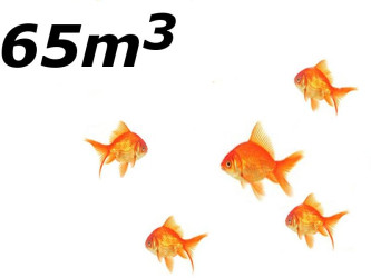 Jezírko s menším počtem ryb do 65 m3
