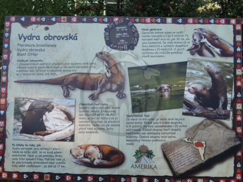 Zoo Lešná, jezírko pro Vydry obrovské