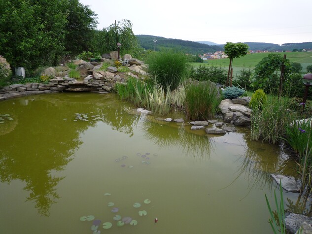 Mikroskopická řasa (zelená voda) jednoduše vyřešit použitím UVC lampy